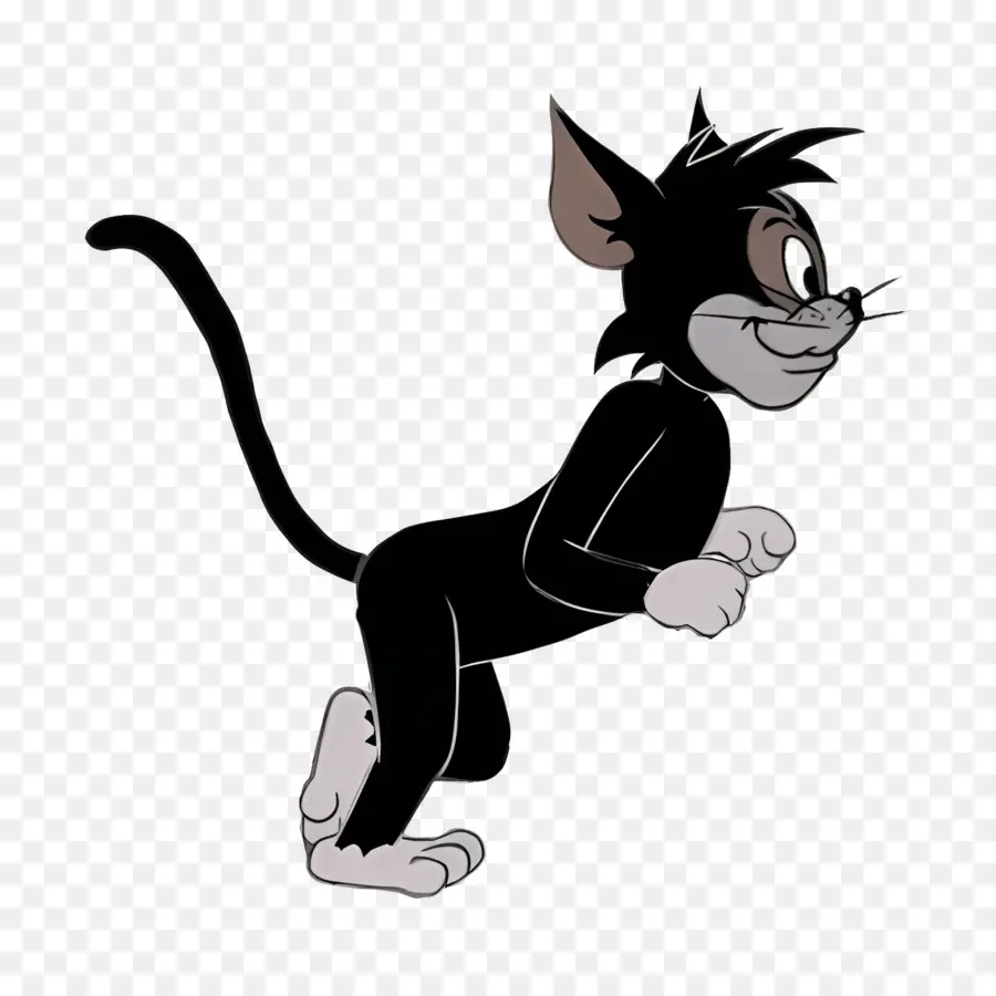 Gato Butch，Gato Preto PNG