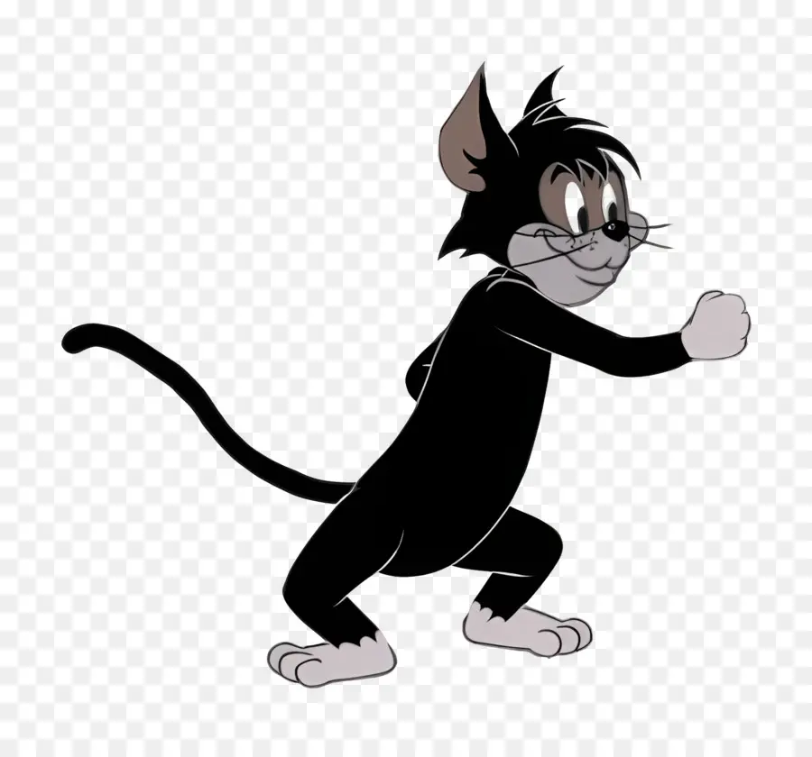 Gato Butch，Gato Preto PNG