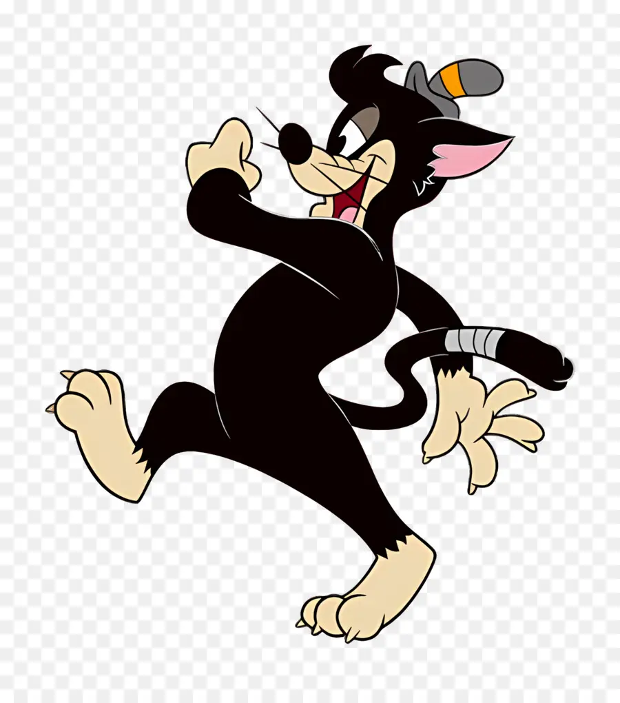 Gato Butch，Gato Preto PNG