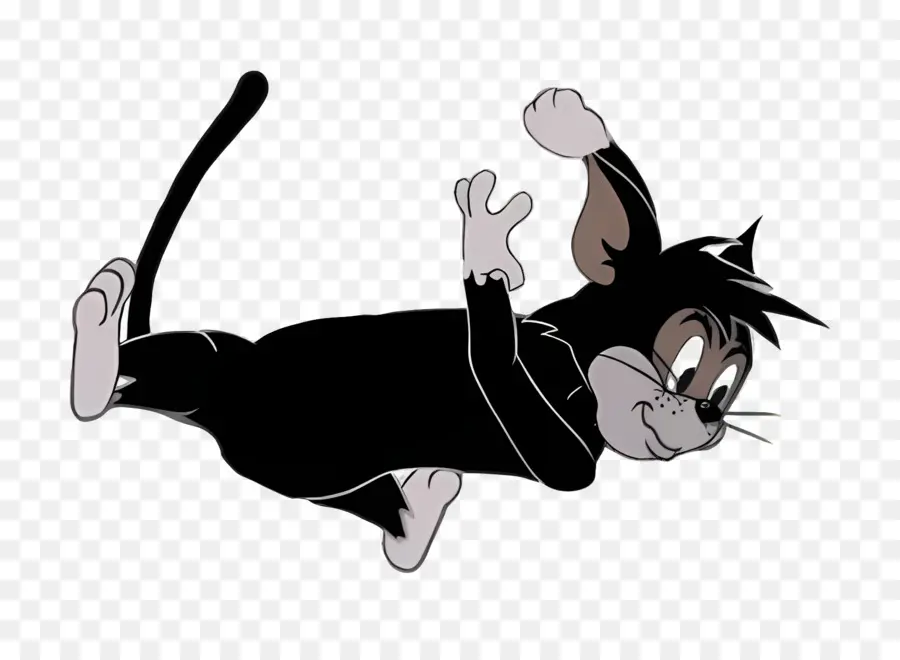 Gato Butch，Gato Preto PNG