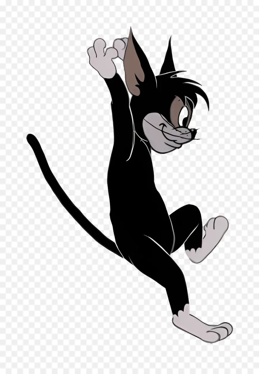 Gato Butch，Gato Preto PNG