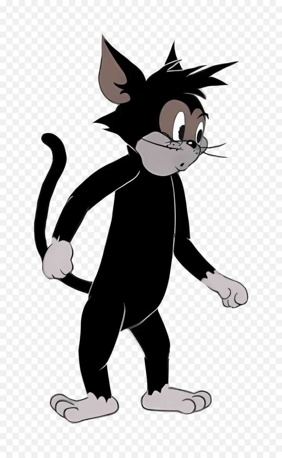 Gato Butch，Gato Preto PNG