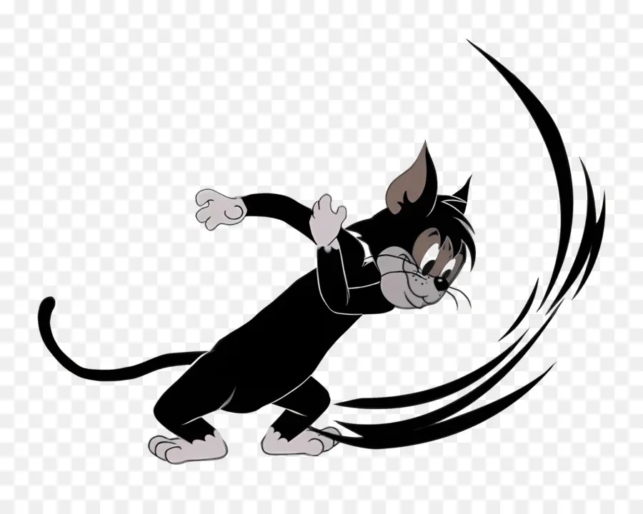 Gato Butch，Gato Preto PNG