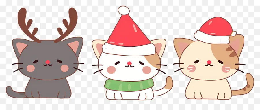 Animal De Natal，Gatos Fofos Com Chapéus De Natal PNG