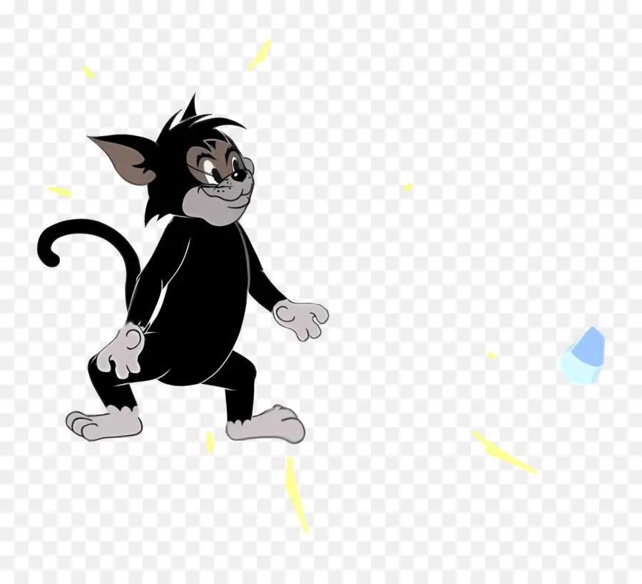 Gato Butch，Gato Preto PNG