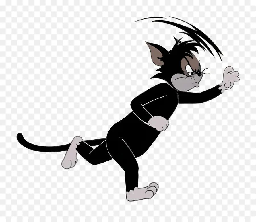 Gato Butch，Gato Preto PNG