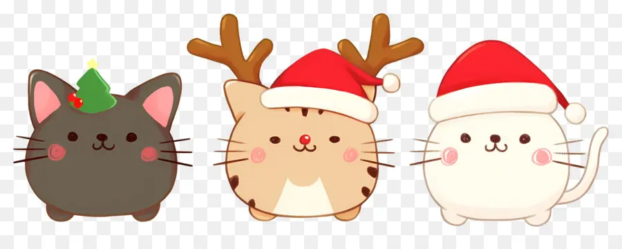 Animal De Natal，Gatos Fofos Com Chapéus De Natal PNG