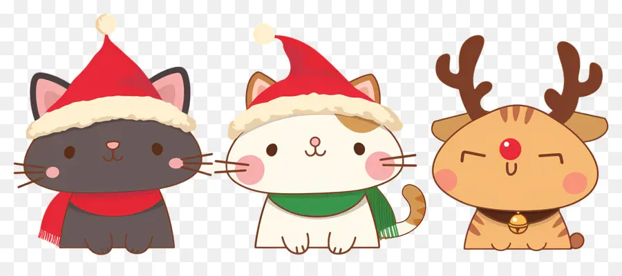 Animal De Natal，Gatos Fofos Com Chapéus De Natal PNG